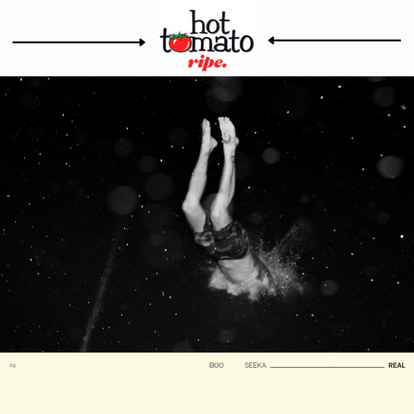 Boo Seeka -