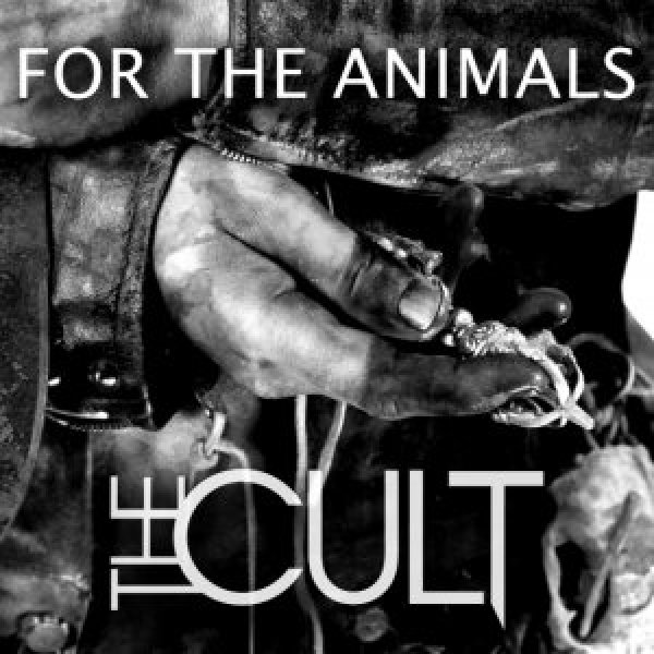 The Cult deliver their new single